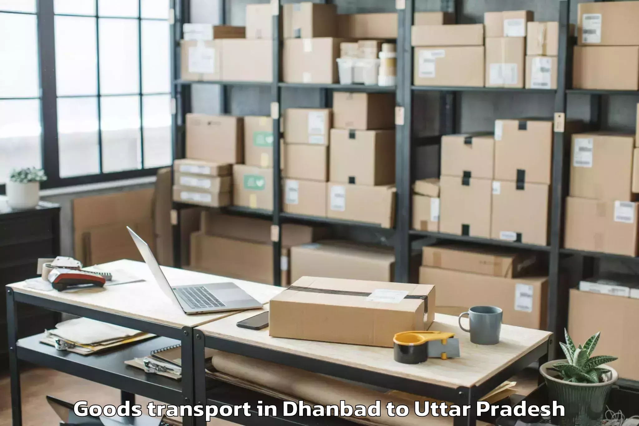 Trusted Dhanbad to Padrauna Goods Transport